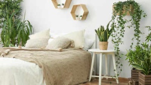 Harvard gastroenterologist urges people to throw away THESE 3 toxic bedroom items ASAP