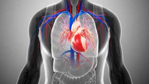 US Doctors Issue Alert on Aortic Aneurysm: The 'Silent Killer' Threatening Millions
OR
Aortic Aneurysm: US Doctors Warn Millions at Risk from Deadly, Silent Condition