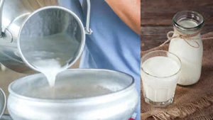 Raw Milk Dangers: Why Unpasteurized Dairy Poses a Serious Health Risk