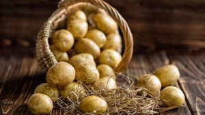 How to spot fake potatoes: 5 simple ways to bring home safe spuds