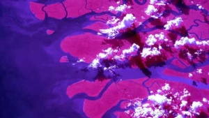 ‘It is the largest river delta on Earth’: NASA astronaut captures the stunning view of the Ganga river delta from space