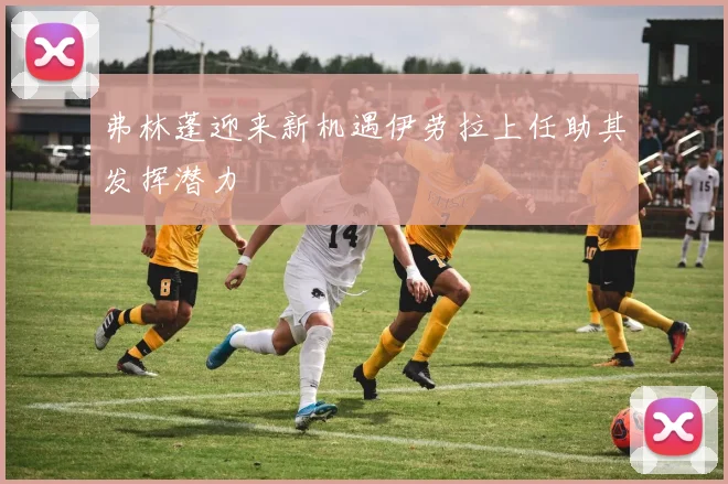 弗林蓬迎来新机遇伊劳拉上任助其发挥潜力