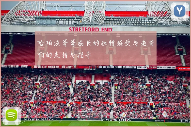 哈珀谈哥哥成长的独特感受与老将们的支持与指导