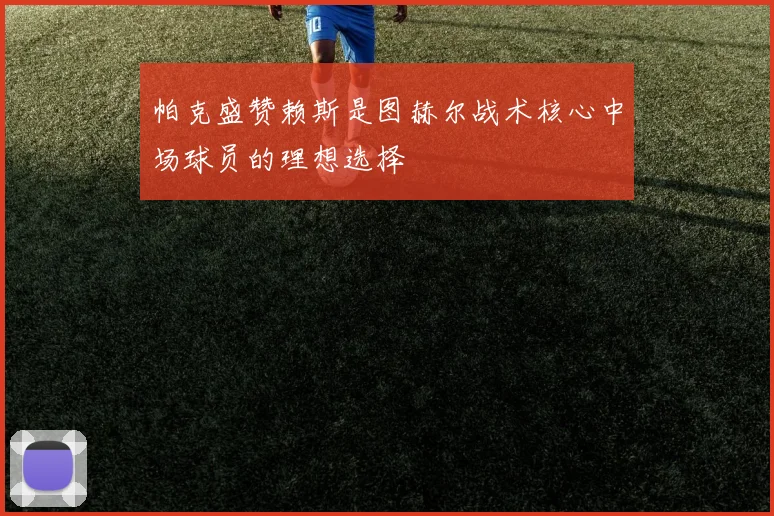 帕克盛赞赖斯是图赫尔战术核心中场球员的理想选择