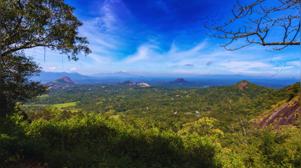 Scenic view of Lakkidi Gateway in Wayanad, Kerala