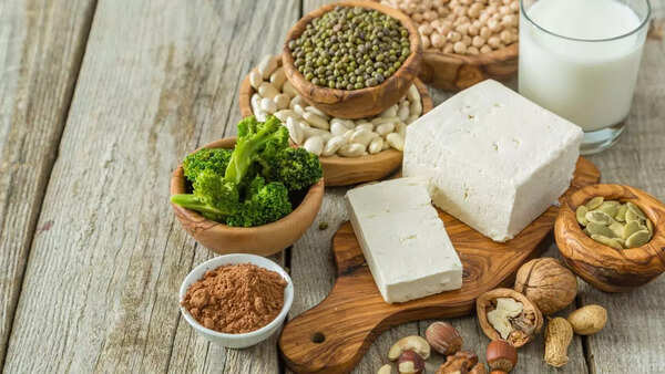 Plant based foods rich in protein