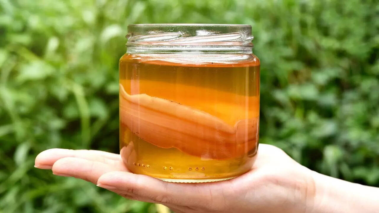 Kombucha