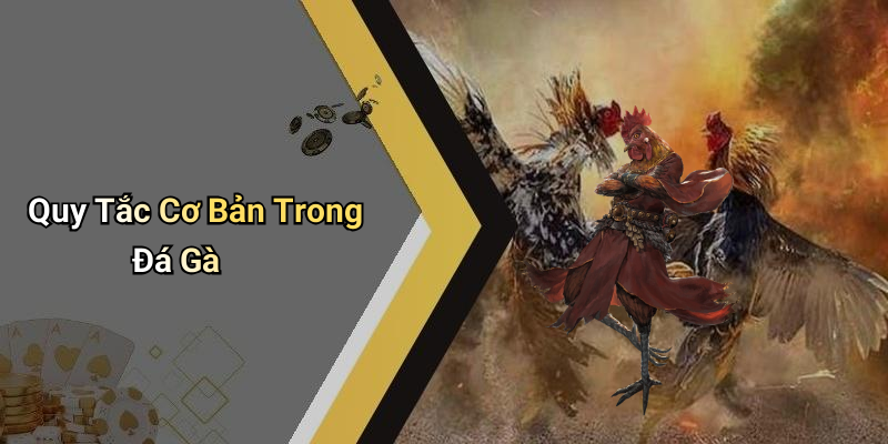 Quy Tắc Cơ Bản Trong Đá Gà