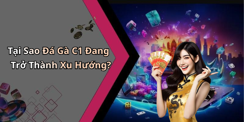 Tại Sao Đá Gà C1 Đang Trở Thành Xu Hướng?