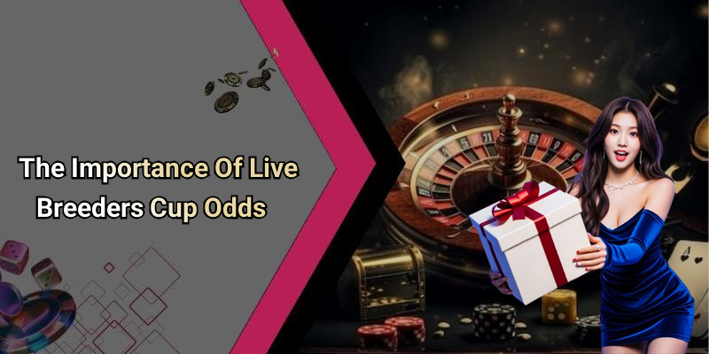 The Importance Of Live Breeders Cup Odds