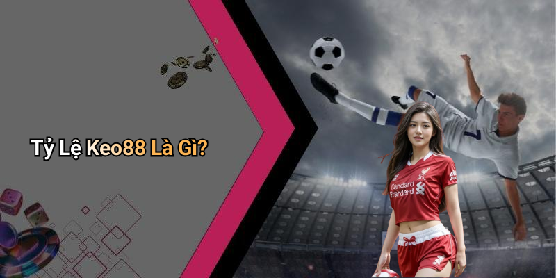Tỷ Lệ Keo88 Là Gì?