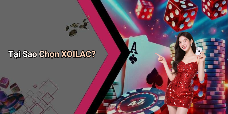 Tại Sao Chọn XOILAC?