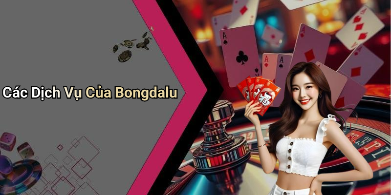Các Dịch Vụ Của Bongdalu