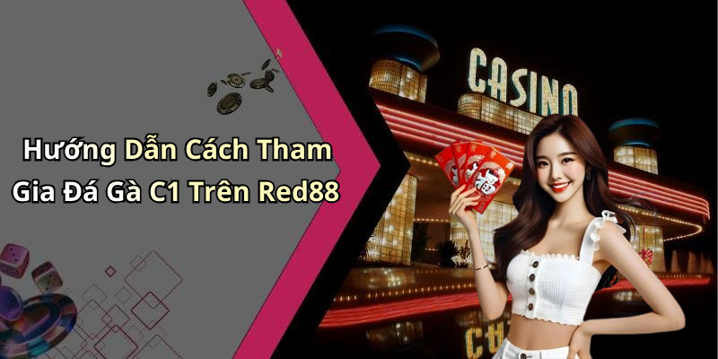 Hướng Dẫn Cách Tham Gia Đá Gà C1 Trên Red88