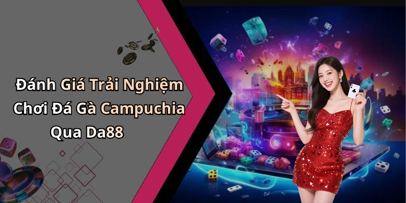 Đánh Giá Trải Nghiệm Chơi Đá Gà Campuchia Qua Da88