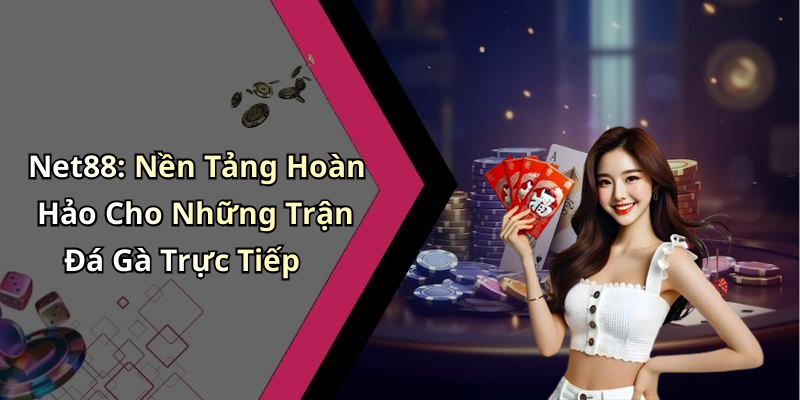 Net88: Nền Tảng Hoàn Hảo Cho Những Trận Đá Gà Trực Tiếp