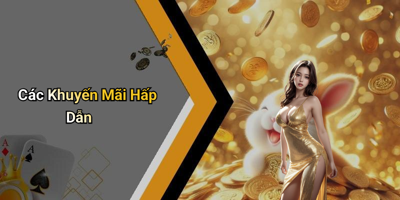 Các Khuyến Mãi Hấp Dẫn