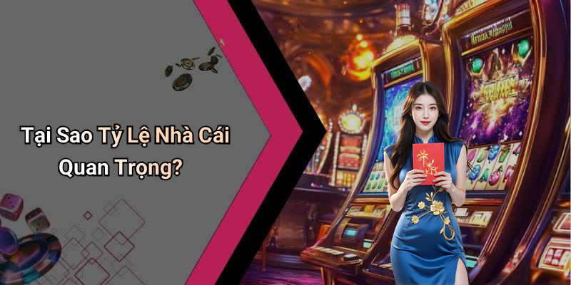 Tại Sao Tỷ Lệ Nhà Cái Quan Trọng?