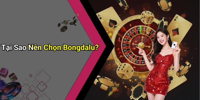 Tại Sao Nên Chọn Bongdalu?