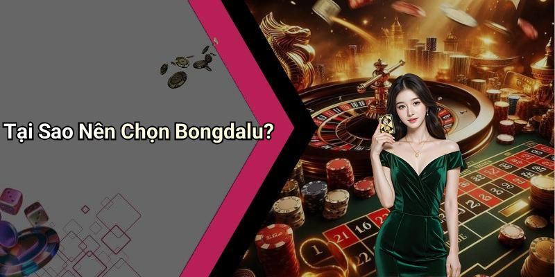 Tại Sao Nên Chọn Bongdalu?