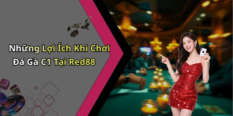 Những Lợi Ích Khi Chơi Đá Gà C1 Tại Red88
