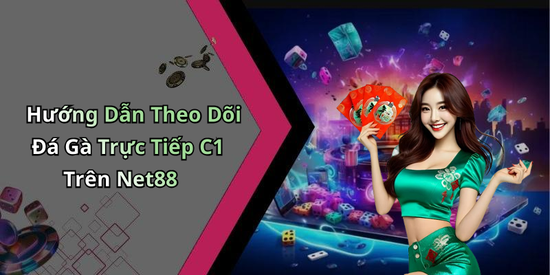 Hướng Dẫn Theo Dõi Đá Gà Trực Tiếp C1 Trên Net88
