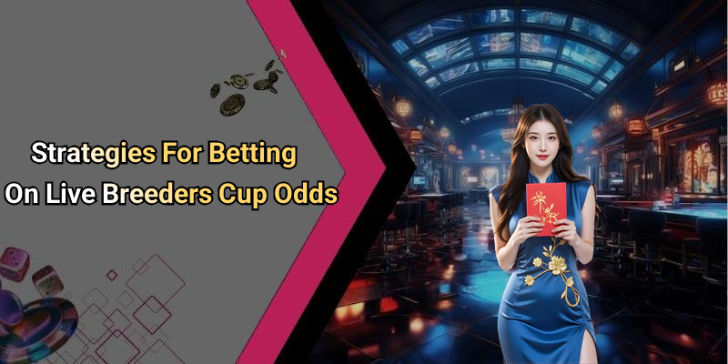 Strategies For Betting On Live Breeders Cup Odds