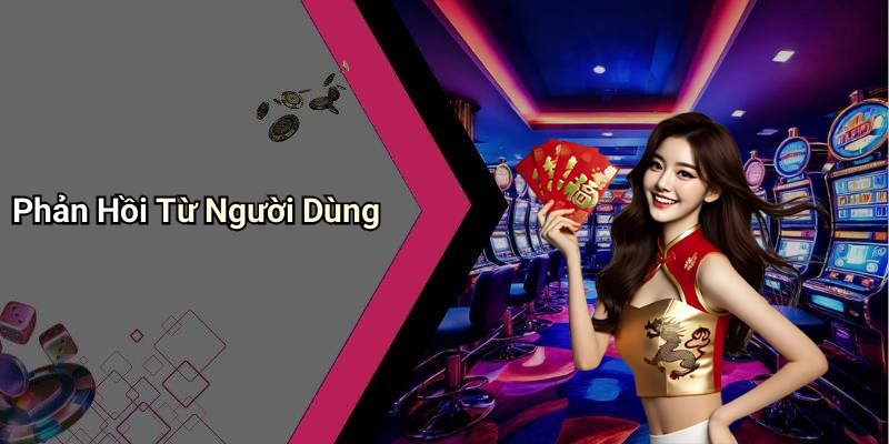 Phản Hồi Từ Người Dùng