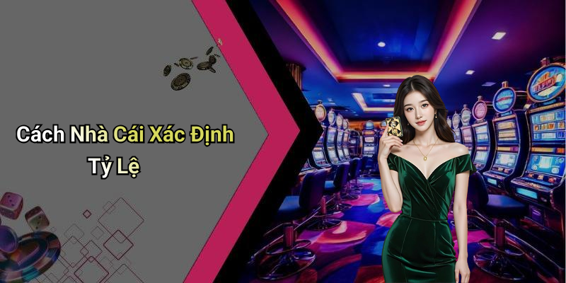 Cách Nhà Cái Xác Định Tỷ Lệ