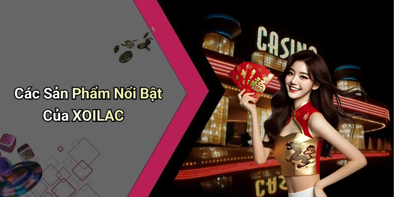 Các Sản Phẩm Nổi Bật Của XOILAC